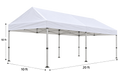 White Tent 10ftx20ft